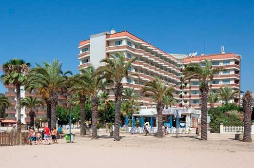 Top Royal Sun voorkant